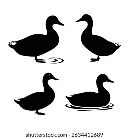 Silhouette depiction of four ducks in various poses standing or swimming on water surface design art