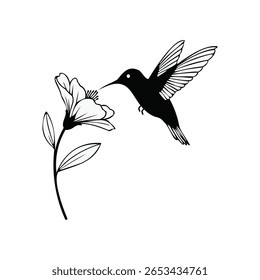Silhueta Representação de Hummingbird Sipping Nectar de uma flor delicada contra um fundo branco