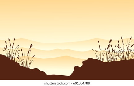 Silhouette of desert with course grass landscape