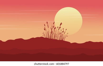 Silhouette of desert with grass at morning scenery