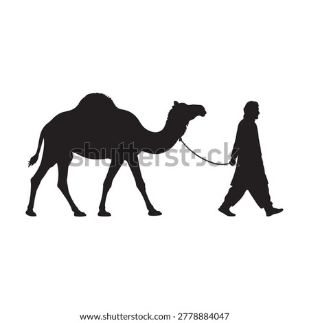 Silhouette of a desert nomad leading a camel by rope