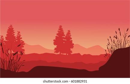 Silhouette of desert with spruce landscape