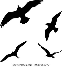 Silhouette design featuring various bird species in flight and perched, suitable for nature, wildlife, or design element themes.