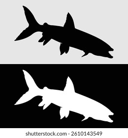 silhouette design of predatory fish that are often kept