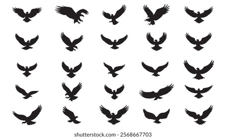 Silhouette designs of eagles in flight. Clip art of birds of prey in black color.