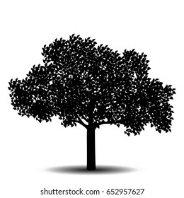 silhouette detached tree with leaves on a white background