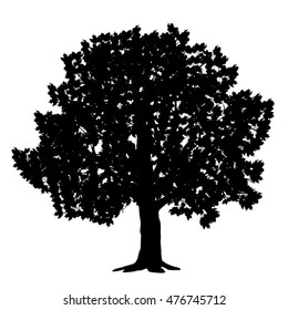 silhouette detached tree maple with leaves on a white background