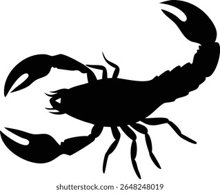 Silhueta de um escorpião detalhado ilustrando garras cauda e pernas em um fundo branco limpo