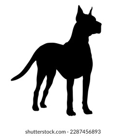 Silhouette. Deutsche Dogge Vector Hunderassen