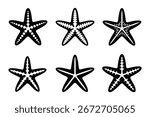 silhouette of different starfish sea star