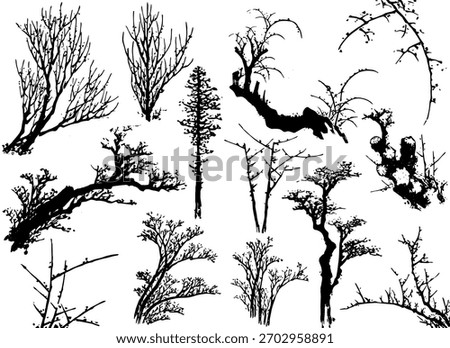 Silhouette of different trees and branch isolated on a white background