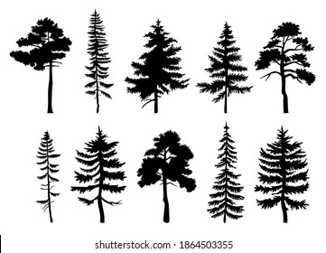 Set Tree Silhouettes Different Types Shapes Stock Vector (Royalty Free ...