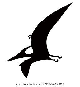 Free: Pterosaurs PNG File Download Free 