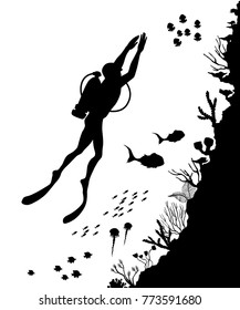 Silhouette of Diver and reef Underwater wildlif