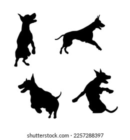 Silhouette of a Doberman dog's dynamic poses. black logo of a police dog.  vector canine icon isolated on white background.