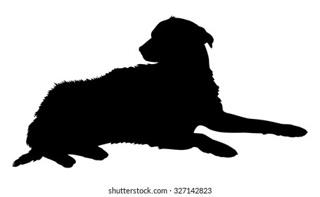 Silhouette of a dog