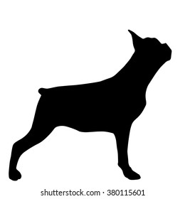 silhouette of the dog