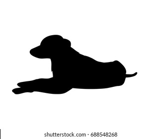 Silhouette of a dog