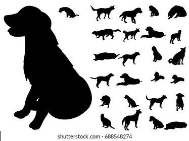 Silhouette of a dog