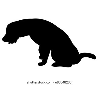 Silhouette of a dog