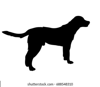 Silhouette of a dog