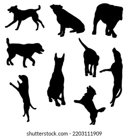 silhouette of dog activities set vector