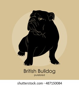 The silhouette of the dog breed English Bulldog