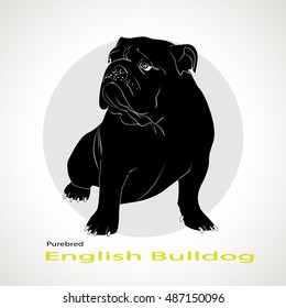 The silhouette of the dog breed English Bulldog