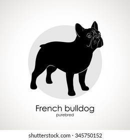 The silhouette of the dog breed French bulldog