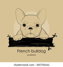 The silhouette of the dog breed French bulldog