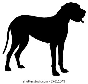 Silhouette of a dog of breed great dane