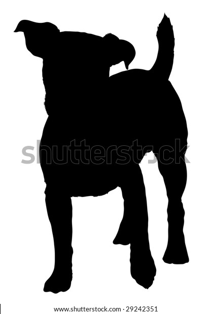 Silhouette Dog Breed Jack Russel Terrier Stock Vector Royalty Free