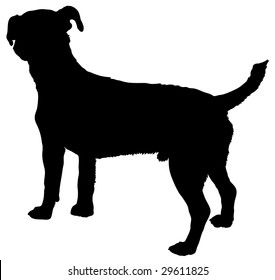 Silhouette of a dog of breed jack russell terrier