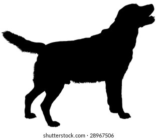 Silhouette of a dog of breed labrador retriever