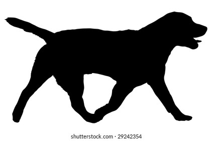 Silhouette of a dog of breed Labrador Retriever