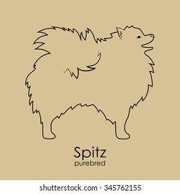 The silhouette of the dog breed Pomeranian