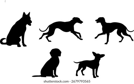 silhueta cão raça posturas ato preto cão raça formas vetor de cor monocromática