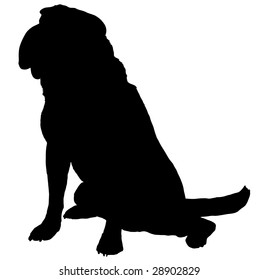 Silhouette of a dog of breed shar-pei