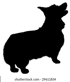 Silhouette of a dog of breed welsh corgi