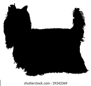 Silhouette of a dog of breed yorkshire terrier