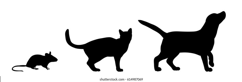 silhouette dog cats and mice