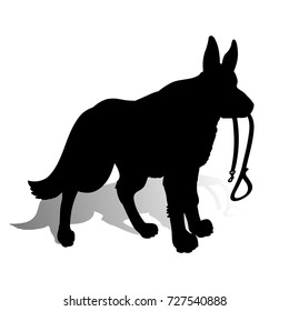 Silhouette of a Dog (German Shepherd) holding a leash, on a white background.Vector