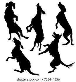 Silhouette of the Dog. Hunting.  The dog is jumping. Vector illustration, graphic on white background. 