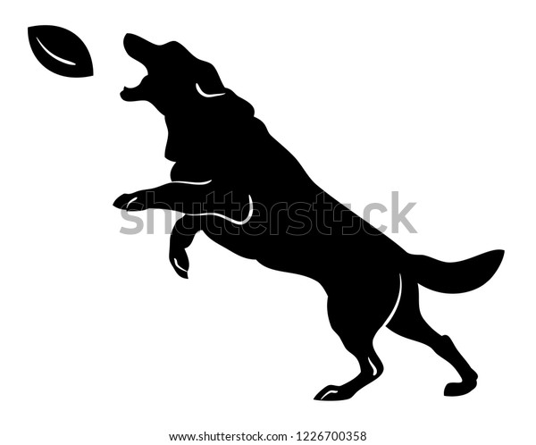 dog jumping ball