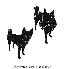 the silhouette of the dog on white background, breed husky