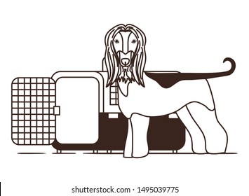 silhouette of dog and pet transport box on white background