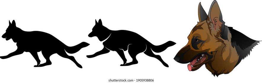 Silhouette of a dog running around the German Shepherd breed 
The beautiful head of the German Shepherd
A set of elements for the logo