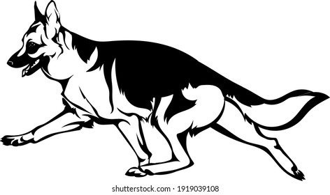 Silhouette de un perro corriendo alrededor de la raza pastora alemana 
La hermosa cabeza del Pastor Alemán
Elementos para el logotipo