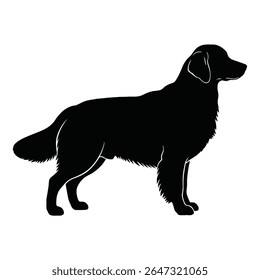 Uma silhueta de um cão, mostrando sua postura elegante e graça