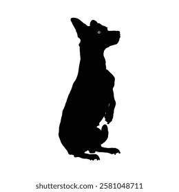 Silhouette of a dog sitting attentively. Dog silhouette, Dog vector, Dog icon.
